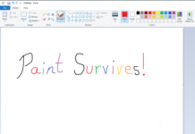 Microsoft Paint Survives