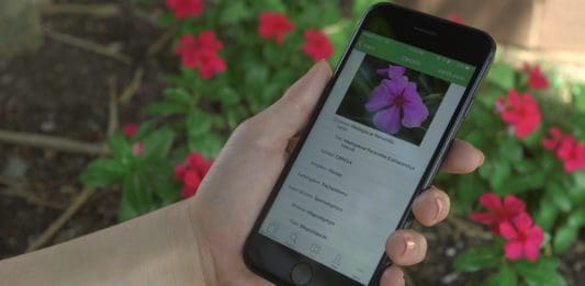 PlantSnap