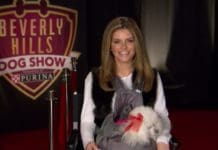 Check Out the 2nd Annual Beverly Hills Dog Show
