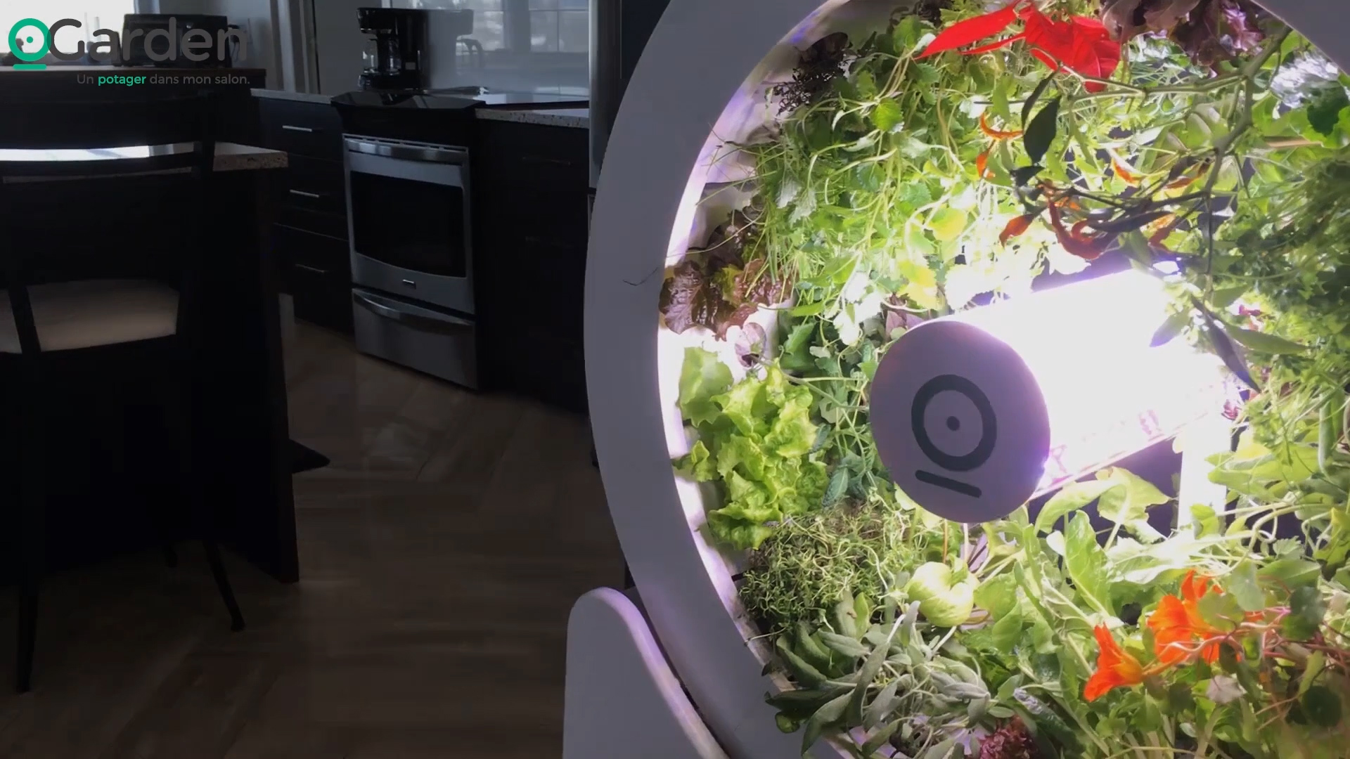 OGarden - Indoor Gardening System | NewsWatch Review