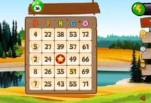 Bingo by Abradoodle Takes a Classic Game and Makes it New Again | NewsWatch Review
