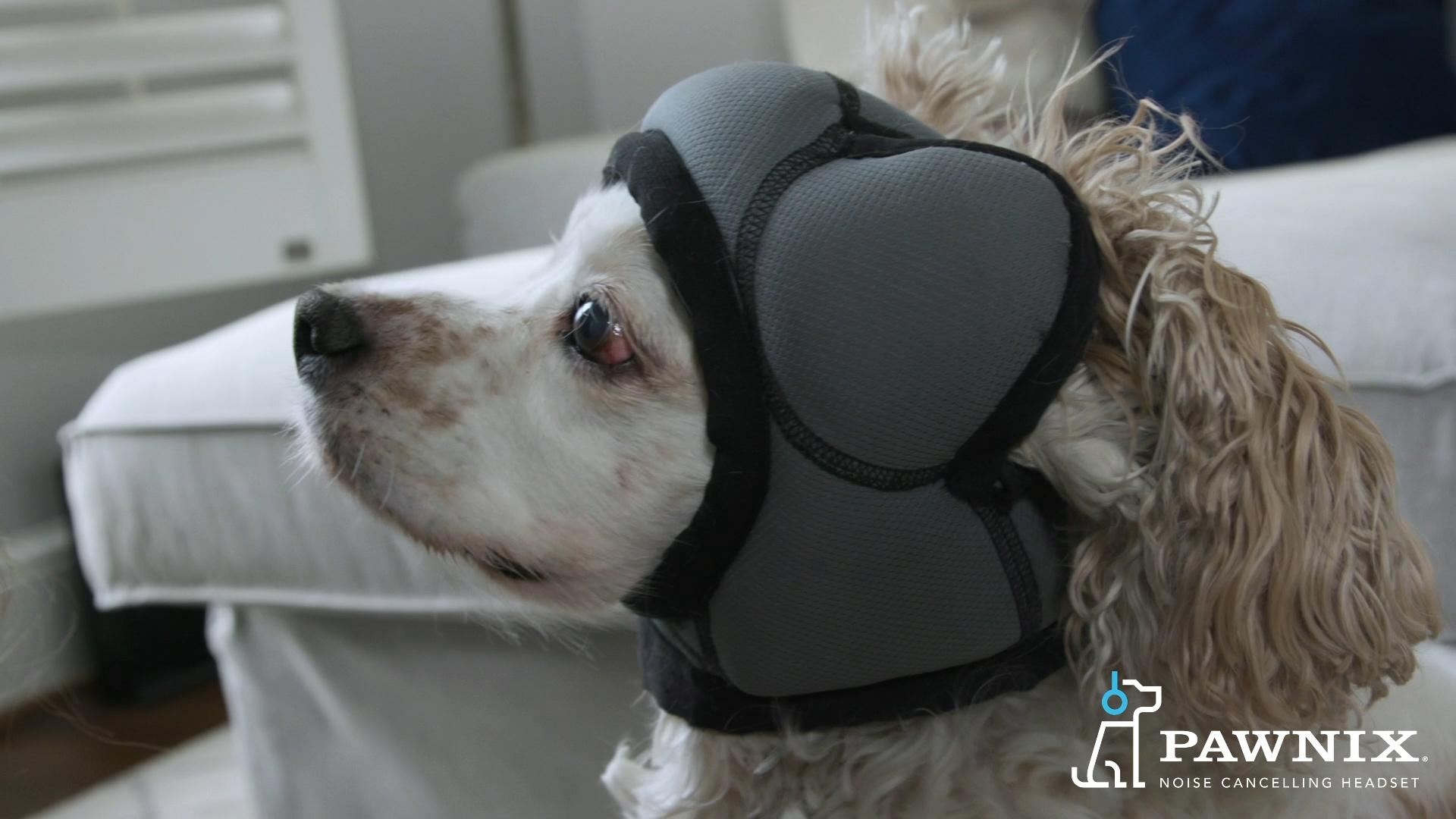 Noise-Cancelling Headset for Dogs 