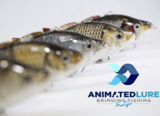 Animated Lure – A Smarter Way To Fish