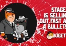 Dogetti Gaining Speedy Presale Success While Solana Announces Upgrade and Polygon Stays in Lead of Dogecoin