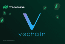 Holders Of Sui and VeChain Begin Collecting Tradecurve Tokens, Here’s Why