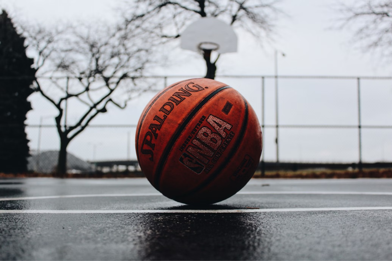 Basketball Betting: Top Apps for the Best Experience in 2024 and How to Choose One – NewsWatchTV