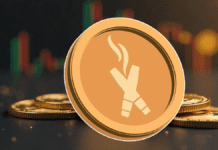 Central Africa Republic Launches CAR MemeCoin – Is DexBoss the Best Crypto To Buy Now For Big Gains?