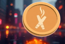 Don’t Miss DexBoss! 5 Best Cryptos to Buy Now Amid CFPB Funding Halt In 2025