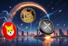 If You Invested $1000 in XRP, Dogecoin, and Shiba Inu 1 Year Ago, which Crypto Would Have Made You the Most Money Today?