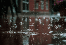 How to Help Your Business Financially Recover After a Natural Disaster