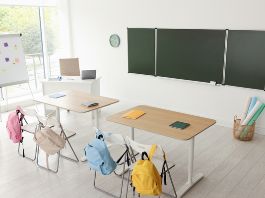 Effective Strategies for Differentiated Instruction in Early Elementary Classrooms