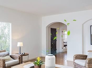 Why an Air Purifier is Essential for a Healthy Home air purifier