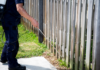 Seasonal Pest Control: Year-Round Strategies for a Pest-Free Home