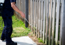 Seasonal Pest Control: Year-Round Strategies for a Pest-Free Home
