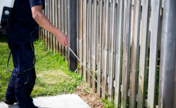Seasonal Pest Control: Year-Round Strategies for a Pest-Free Home