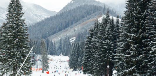 What Should You Look for When Choosing a Ski Accident Lawyer in Denver?