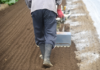 Tiller blades wear out slowly enough that nobody notices what it is costing them